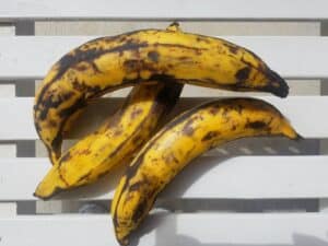 black-and-yellow-unpeeled-plantains-medium-ripeness