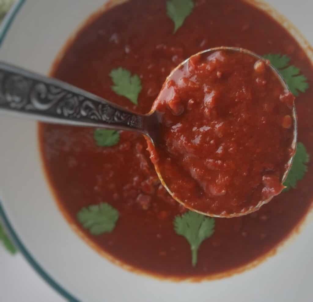 closeup-on-spoonful-of-New-Mexican-red-chile-sauce-garnished-with-cilantro