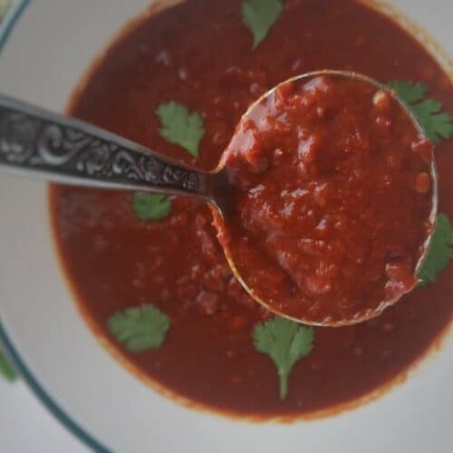 closeup-on-spoonful-of-New-Mexican-red-chile-sauce-garnished-with-cilantro